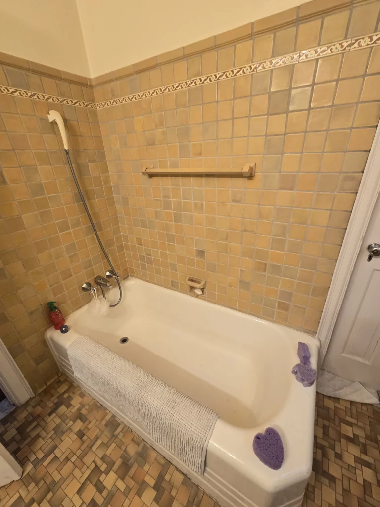 Original double-threshold bathtub and aging ceramic tile before bathroom renovation in DeWitt.